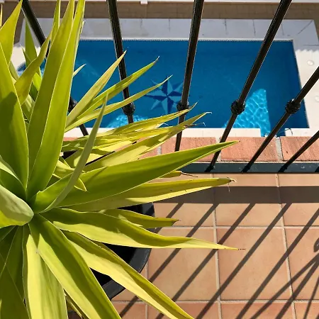 Apartment Playa Burriana, Stor Terass, Havsutsikt, Pool *